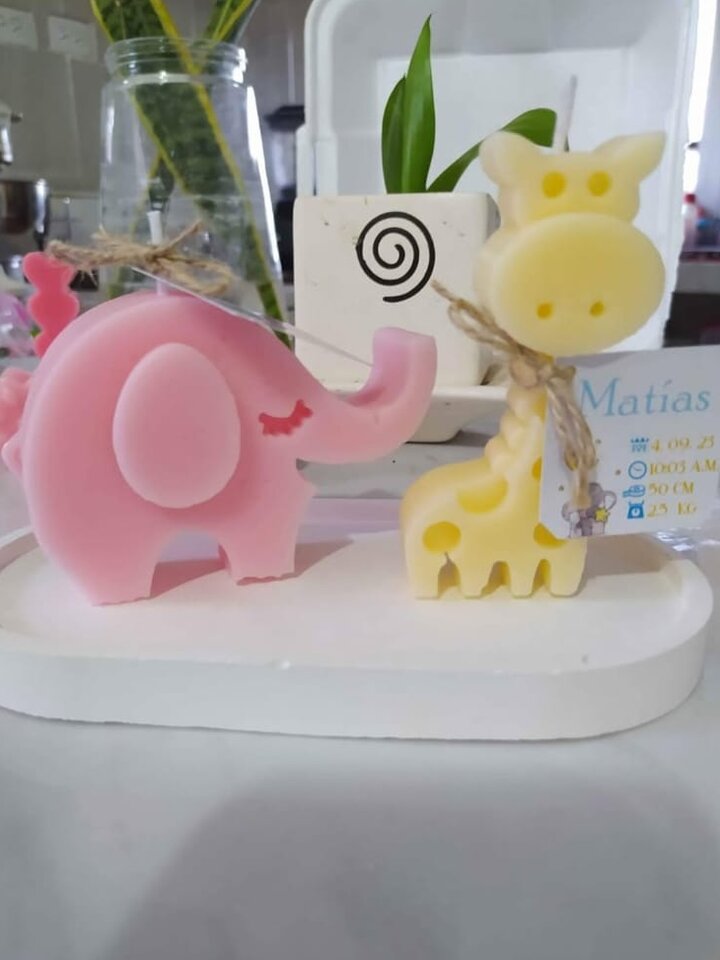 Elefante y jirafa
